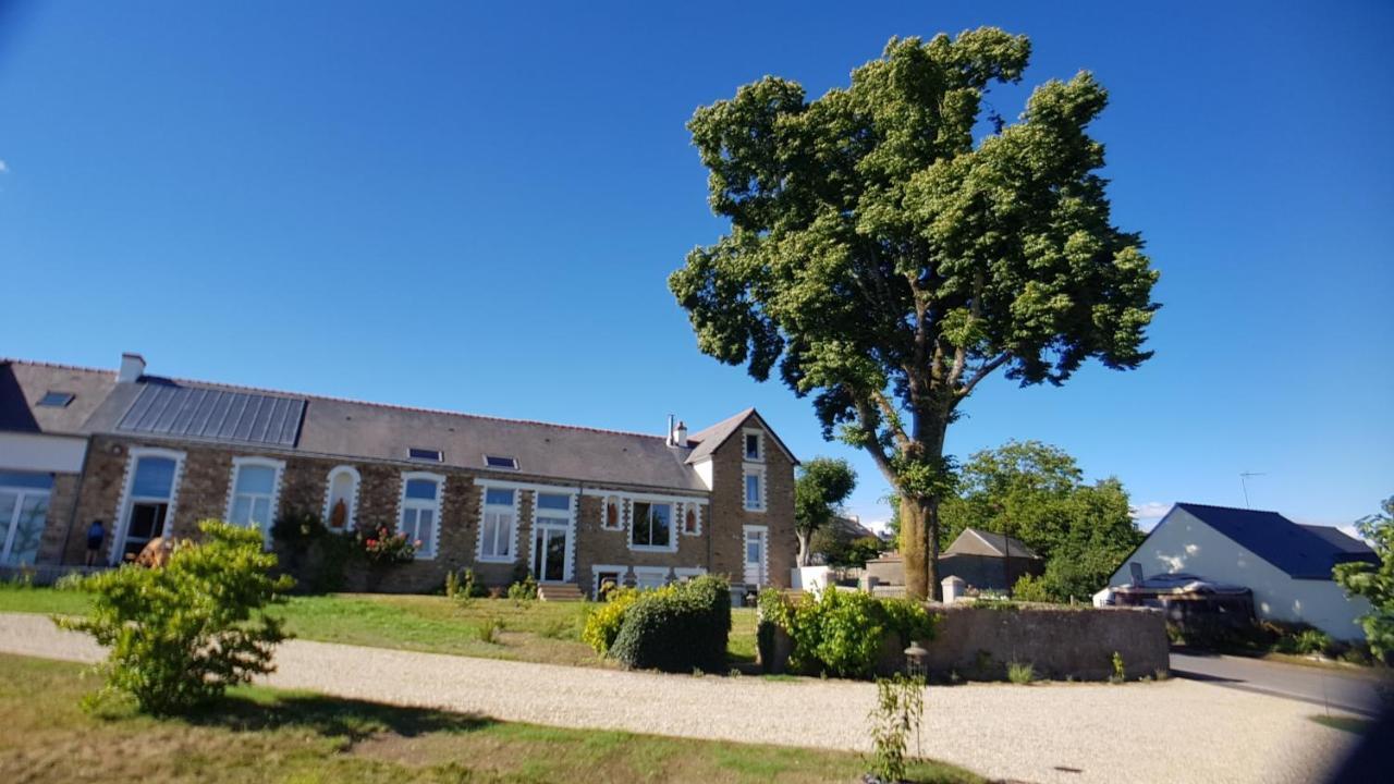 Belle Visnonia B&B Gluten Free & Traditional Béganne Extérieur photo