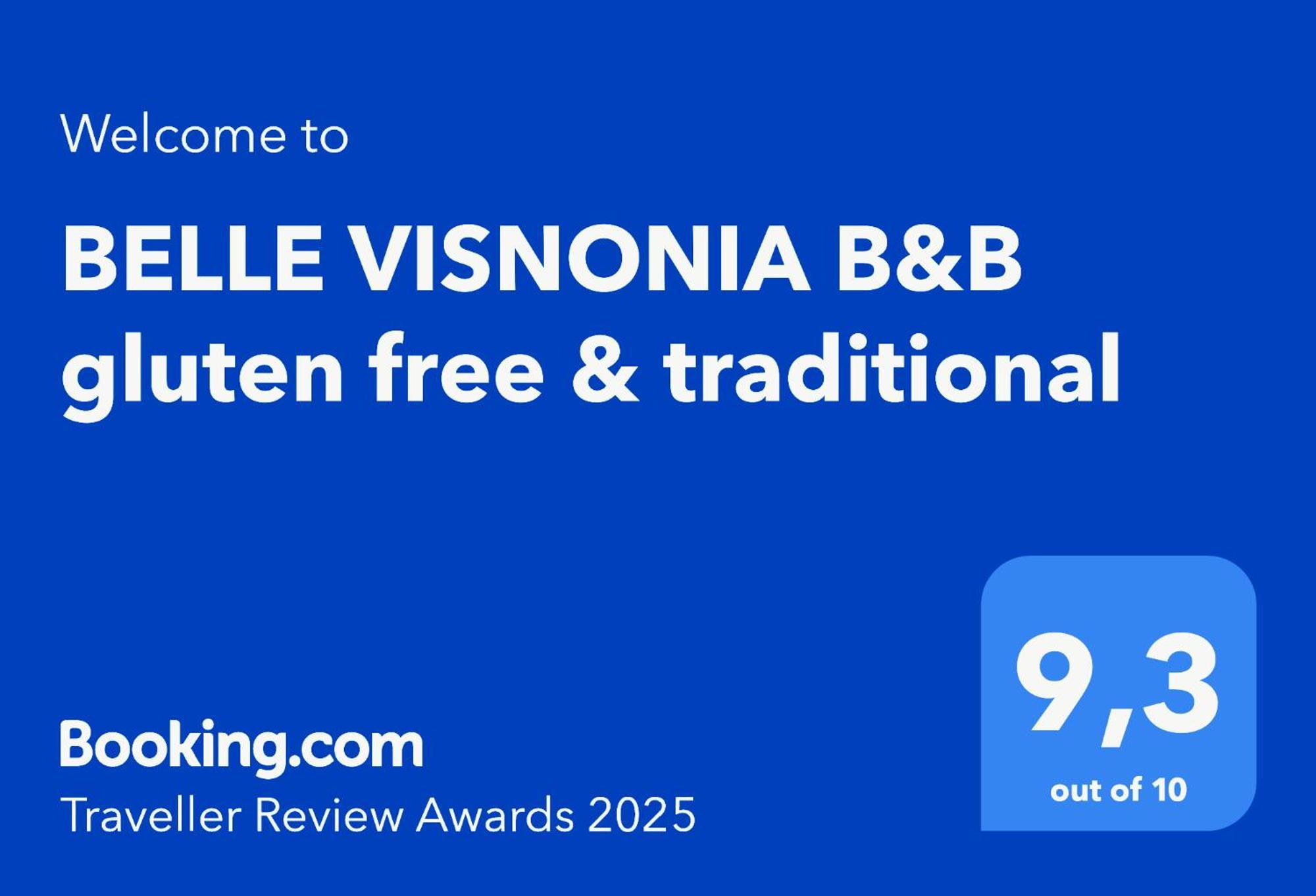 Belle Visnonia B&B Gluten Free & Traditional Béganne Extérieur photo